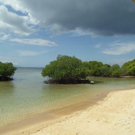 Mangrove Paradise Retreat Hotel Nusa Lembongan  Bagian luar foto