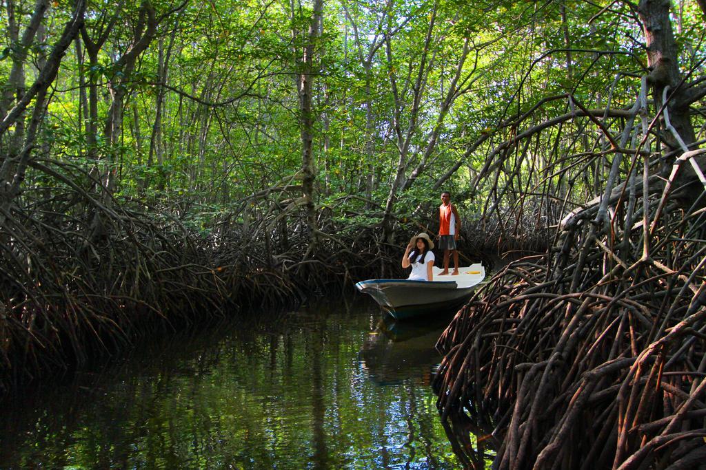 Mangrove Paradise Retreat Hotel Nusa Lembongan  Bagian luar foto